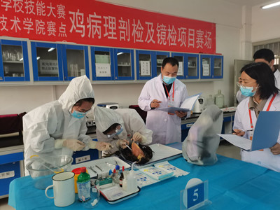 1618568162733082798.jpg 3_鍓湰.jpg