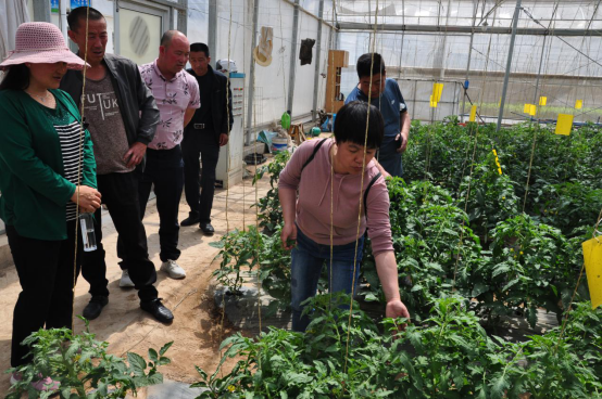 1592794168952021866.png image.png