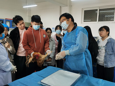 1618568207270054065.jpg 5_鍓湰.jpg