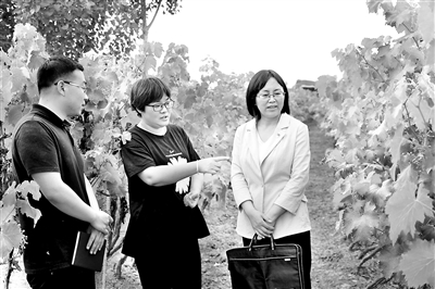 1590719935911092660.jpg 1590362716200257.jpg