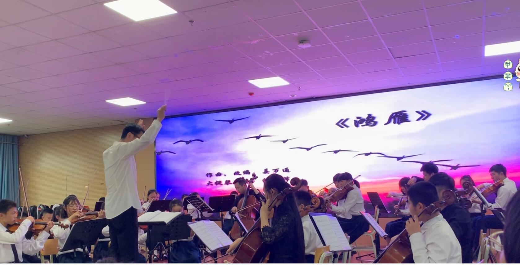 1560160936626015796.jpg 1560160936626015796.jpg