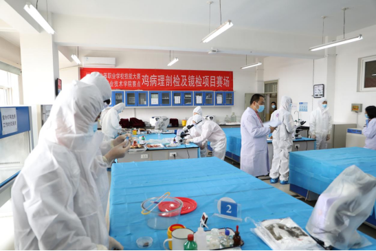 1618906283484021660.png 1618906283484021660.png