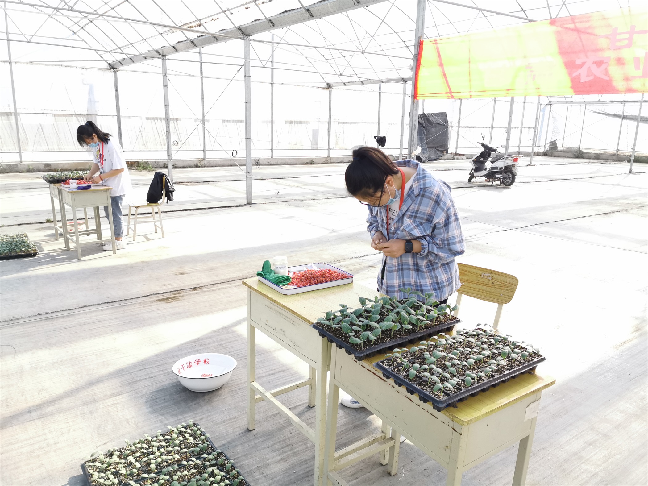 1590660975293080295.jpg 1590660975293080295.jpg