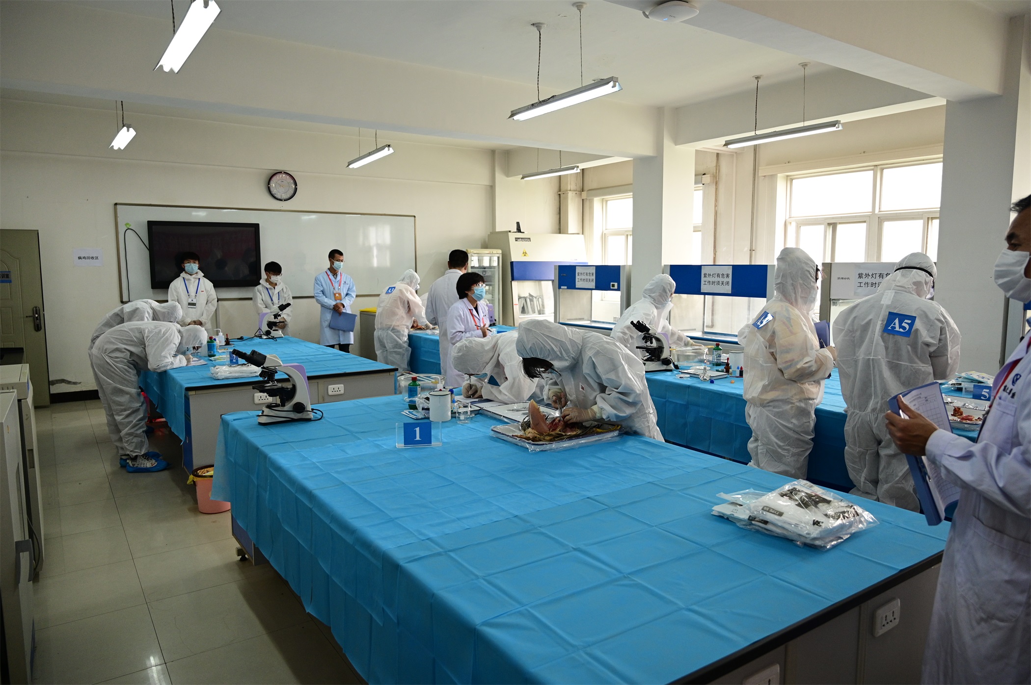 1590660741278084230.jpg 1590660741278084230.jpg