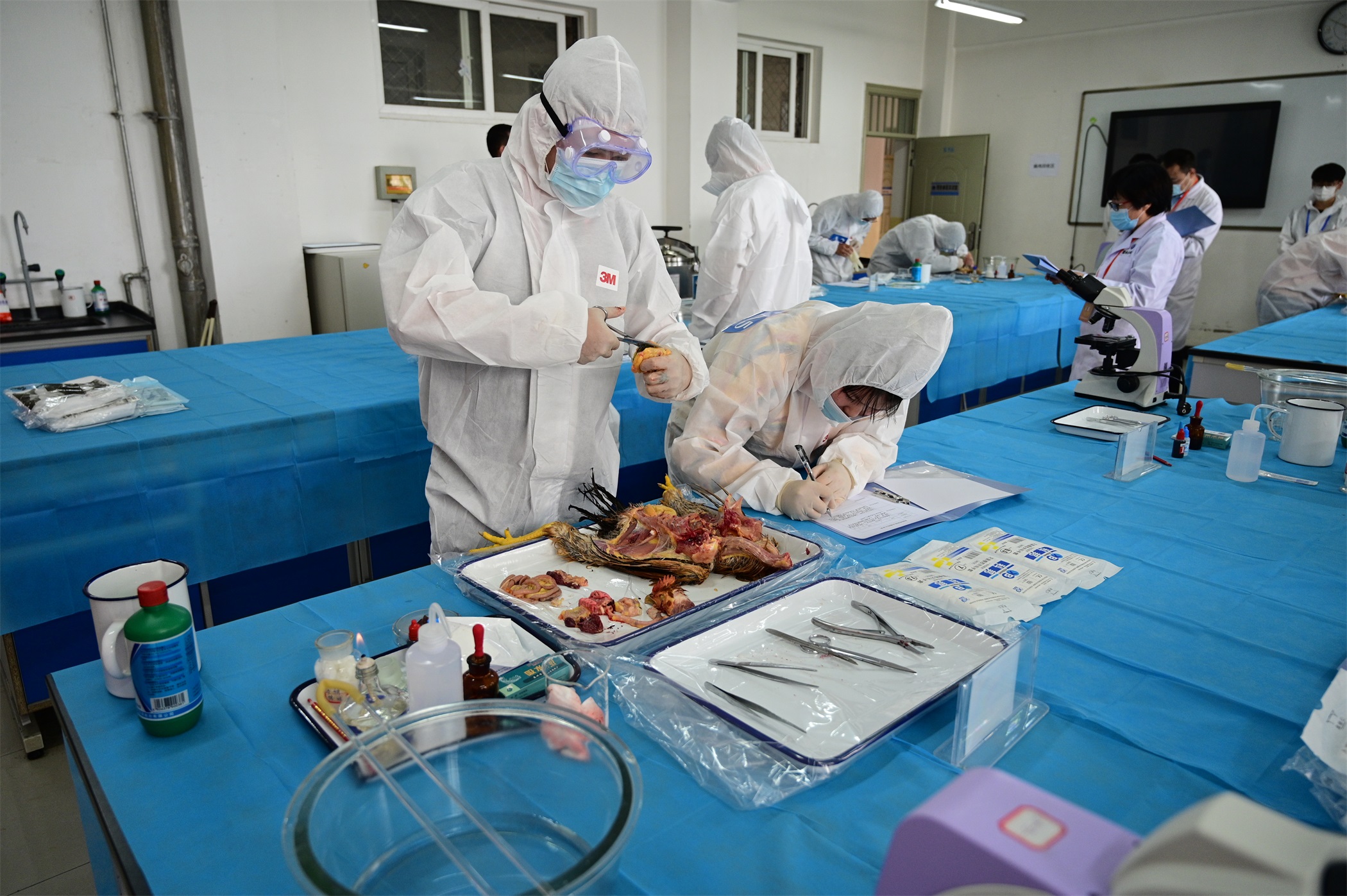 1590660813526004072.jpg 1590660813526004072.jpg