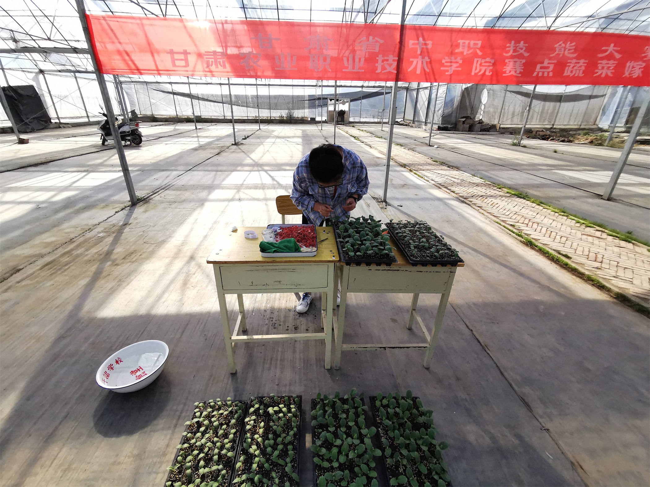 1590660932256069397.jpg 1590660932256069397.jpg