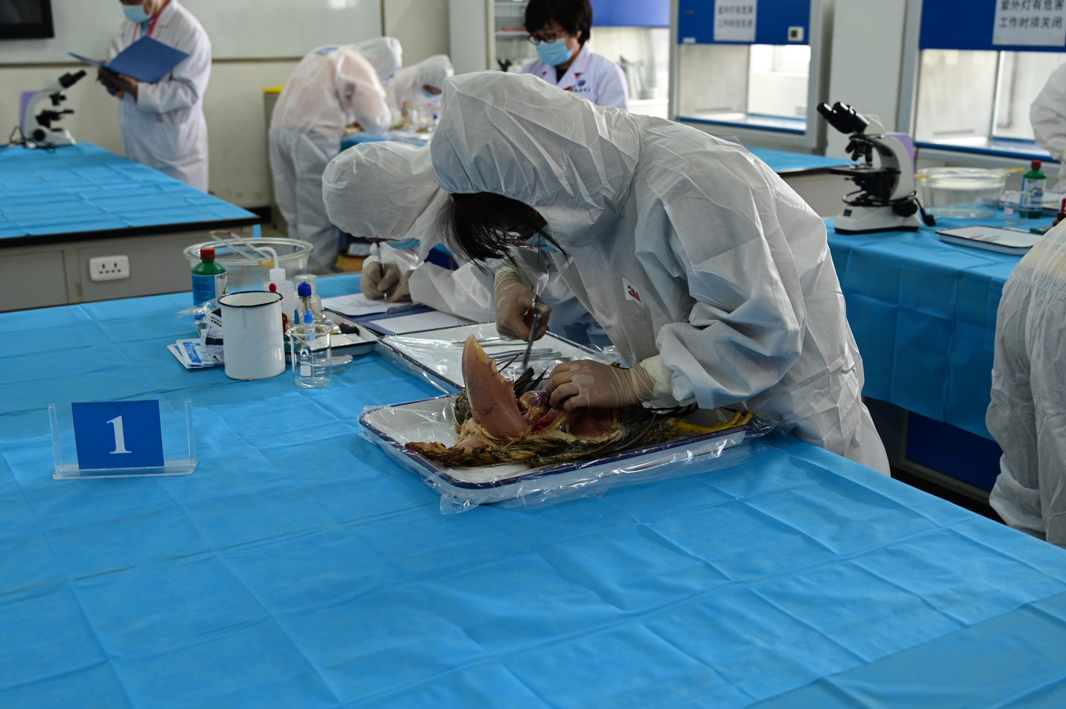 1590660839547031915.jpg 1590660839547031915.jpg