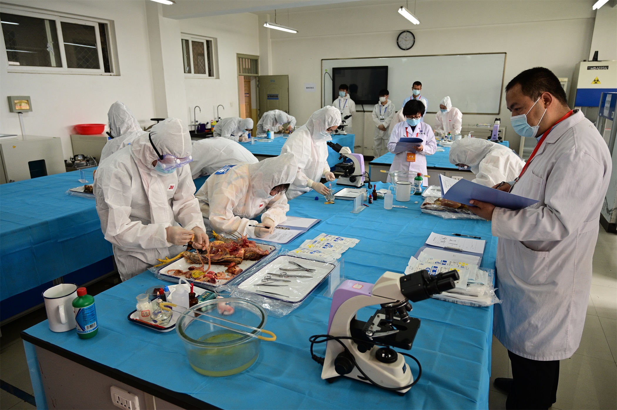 1590660768973023566.jpg 1590660768973023566.jpg