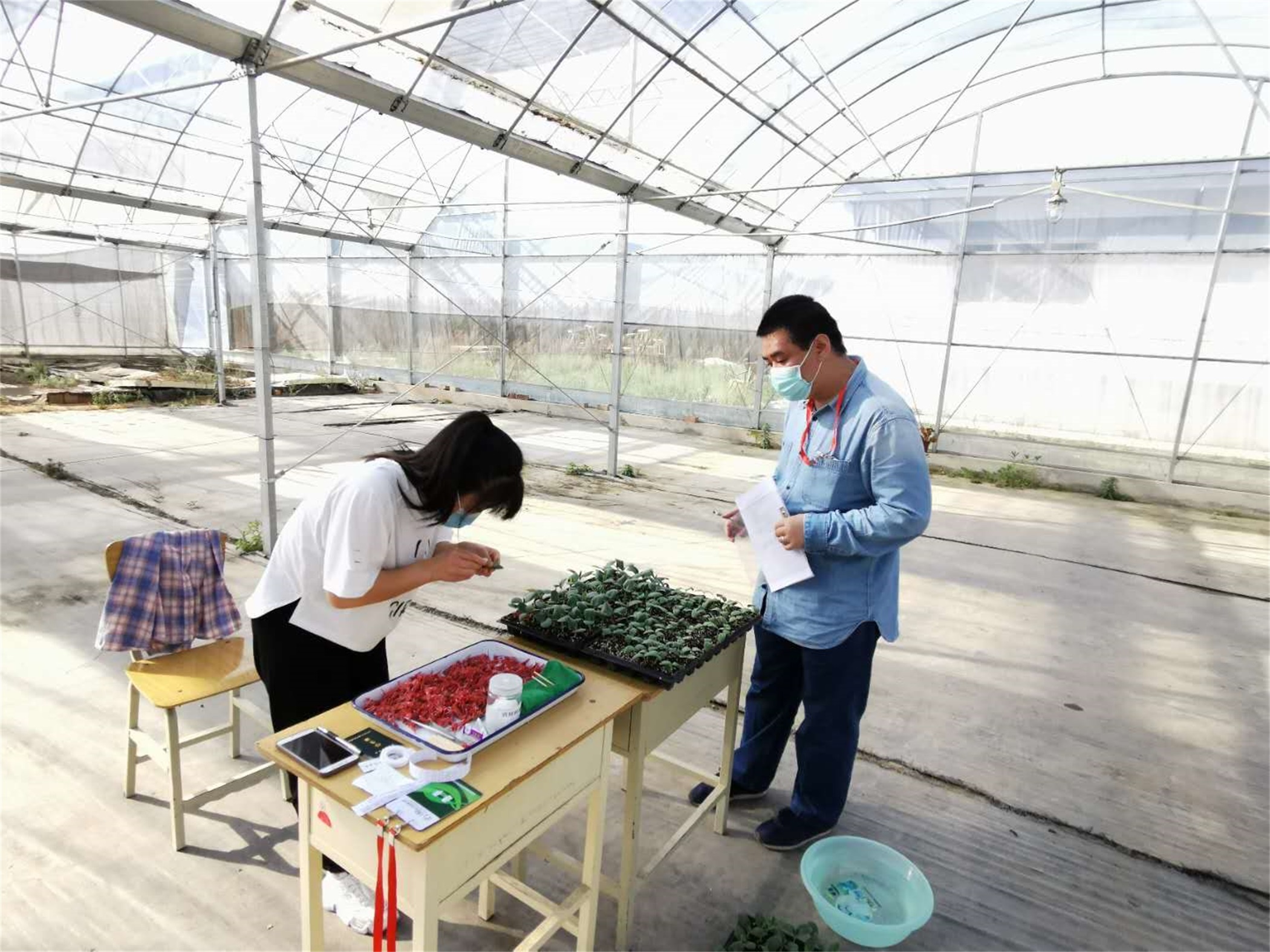 1590661191506082777.jpg 1590661191506082777.jpg