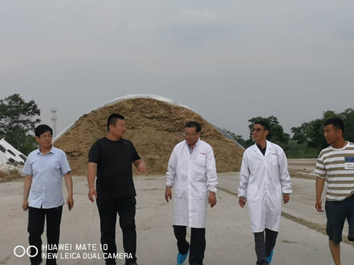 1560503062862051016.jpg 3.jpg