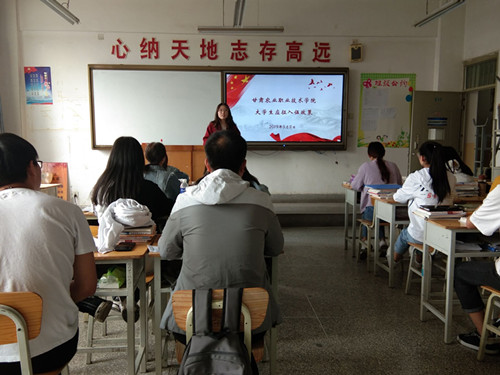 1557473396483000419.jpg 4.jpg