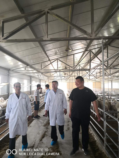 1560503074058088187.jpg 4.jpg