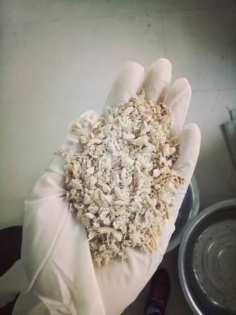 1514376175309010684.jpg 1514376175309010684.jpg