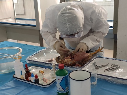 1590633489373039831.jpg 3.jpg