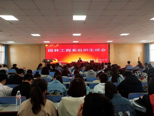 1552902663412073774.jpg 4.jpg