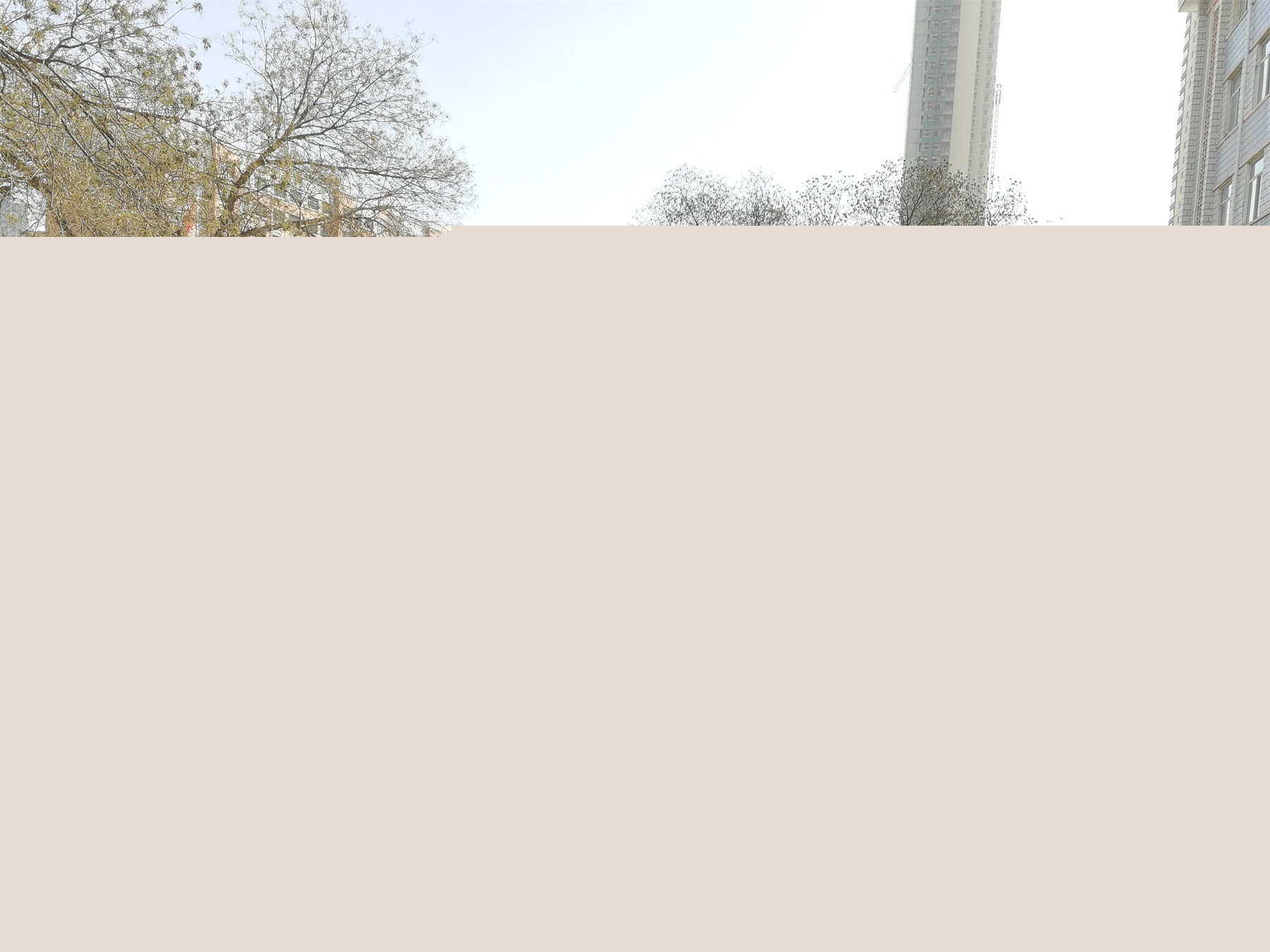 1583216691242009137.jpg 1583216691242009137.jpg