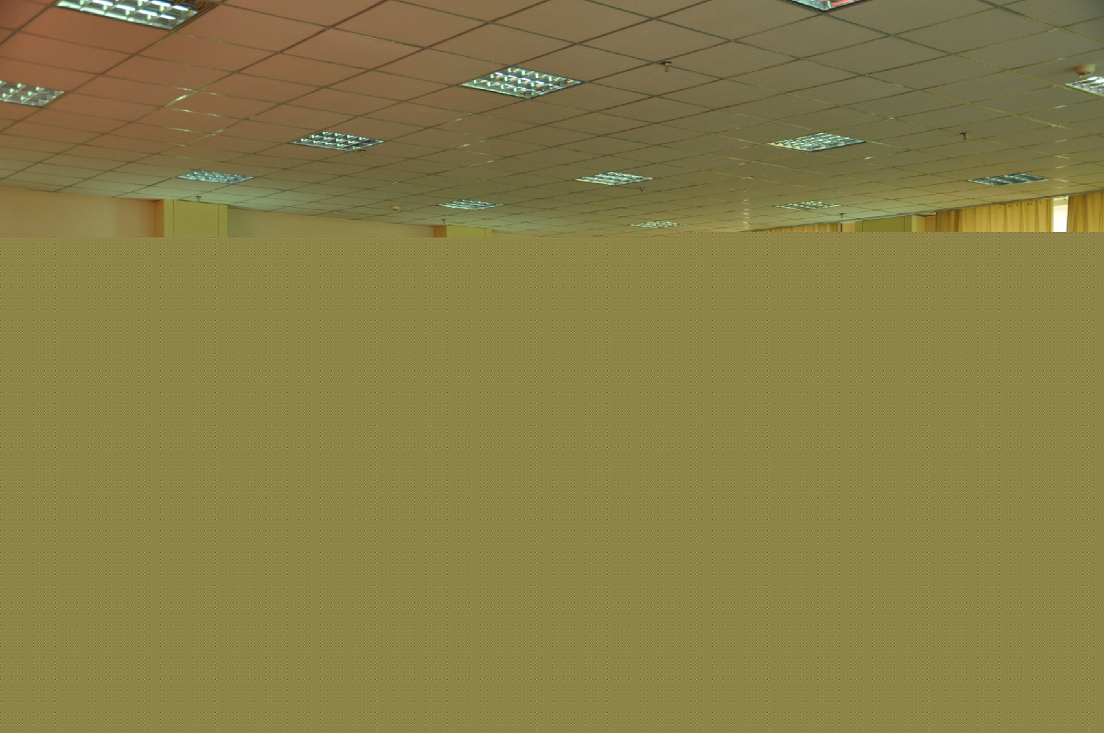 1568768679050088619.jpg 91807.jpg