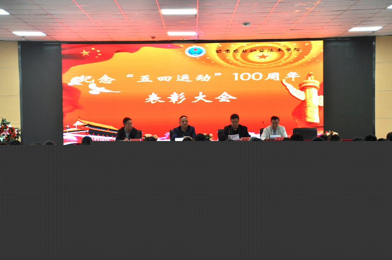 1557211866287065921.jpg 50701.jpg