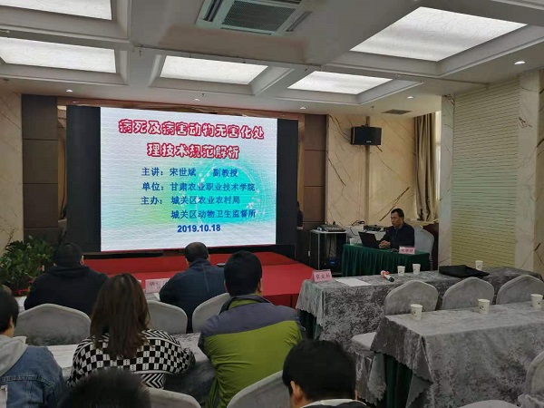 1571819182341024741.jpg 3.jpg