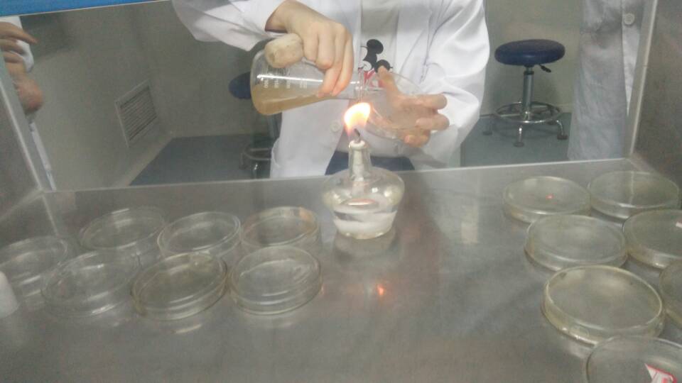 1529929959173026796.jpg 1529929959173026796.jpg