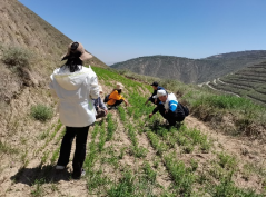 1622777715988069069.png image.png