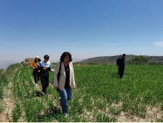 1622777726778007788.png image.png