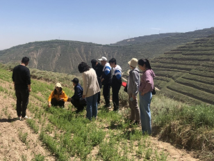 1622777680413078315.png image.png