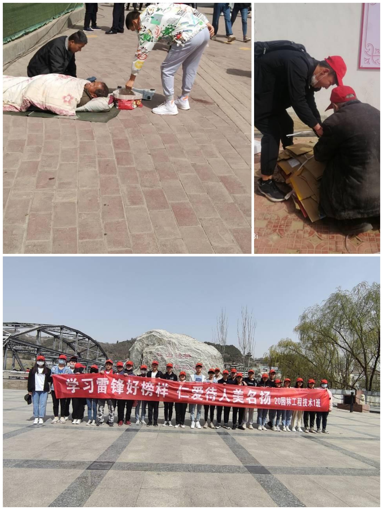 1617173341866008199.jpg 8.jpg