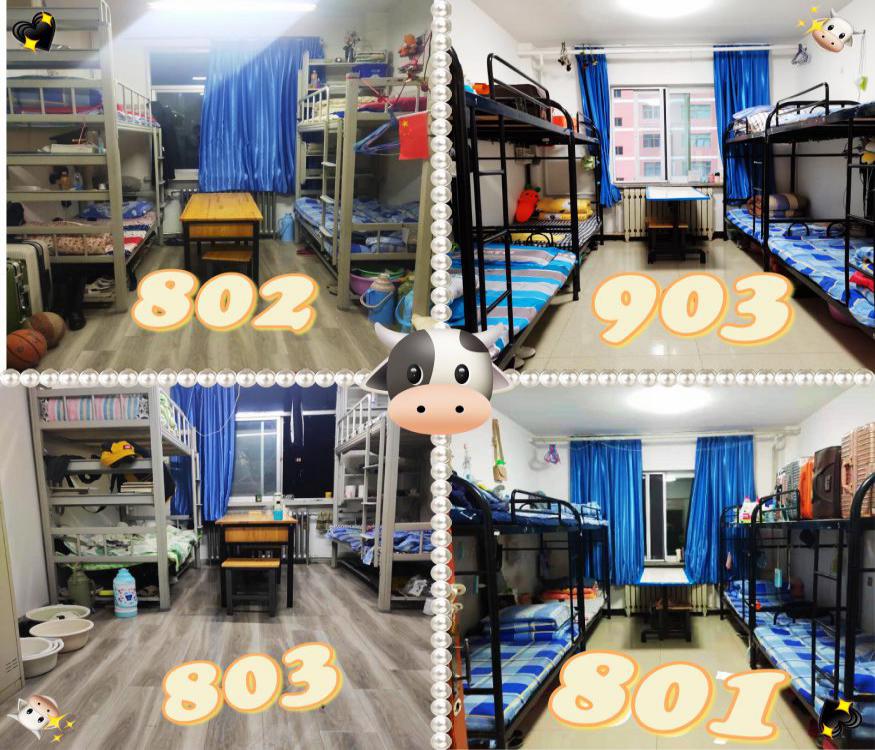 1617329142803052693.jpg 11.jpg