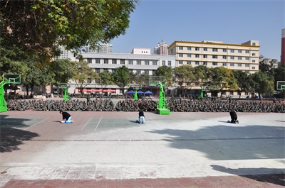 1603508352767002490.jpg DSC_1354.jpg