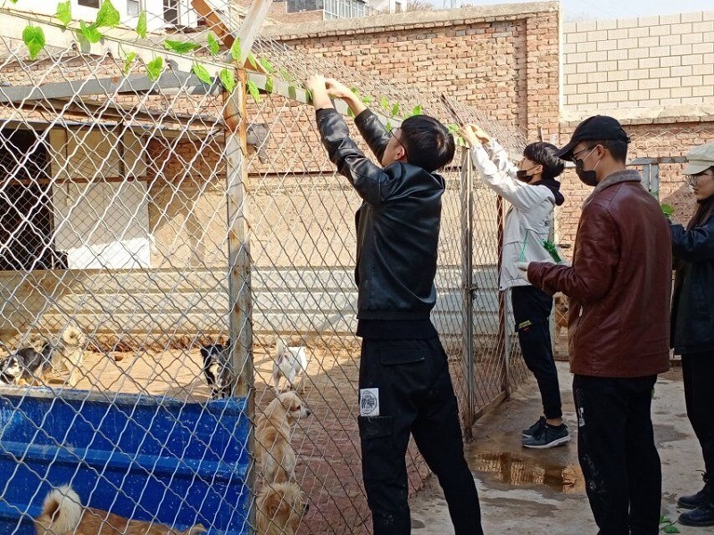 1574075354295035676.jpg 7.jpg