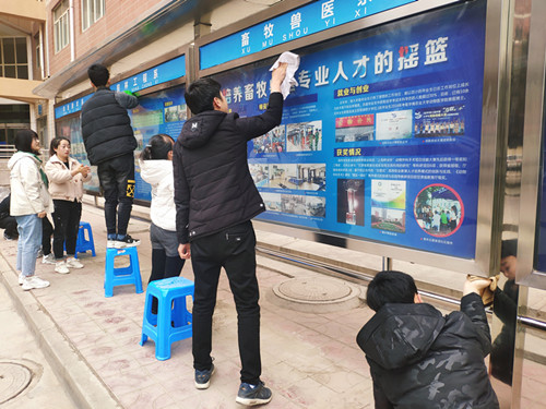 1551427369115066221.jpg 1.jpg