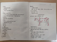 1543399560276036499.jpg 6.jpg