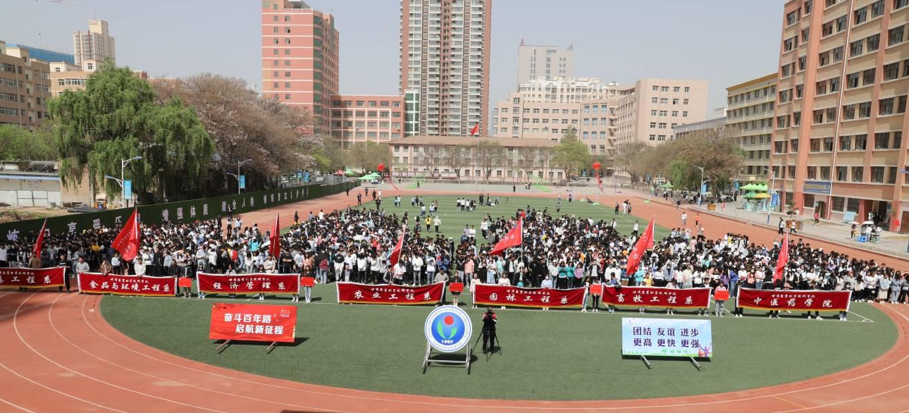 1619776396095008666.png 1619776396095008666.png