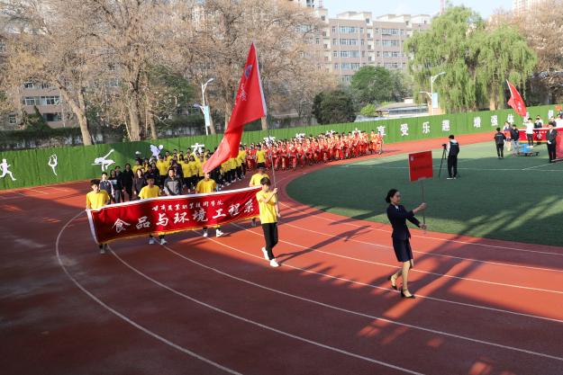 1619604955582083943.jpg 1619604955582083943.jpg