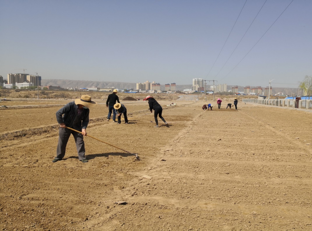 1587864933057074157.jpg 1587864933057074157.jpg