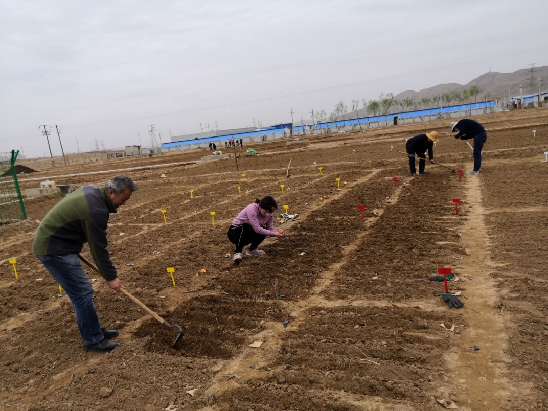 1587864969853072253.jpg 1587864969853072253.jpg