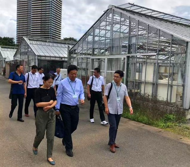 1617784241380015699.jpg ccc.jpg