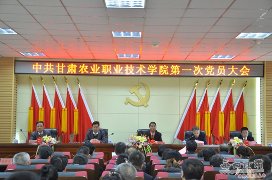 1572938475044074973.jpg 图片1.jpg