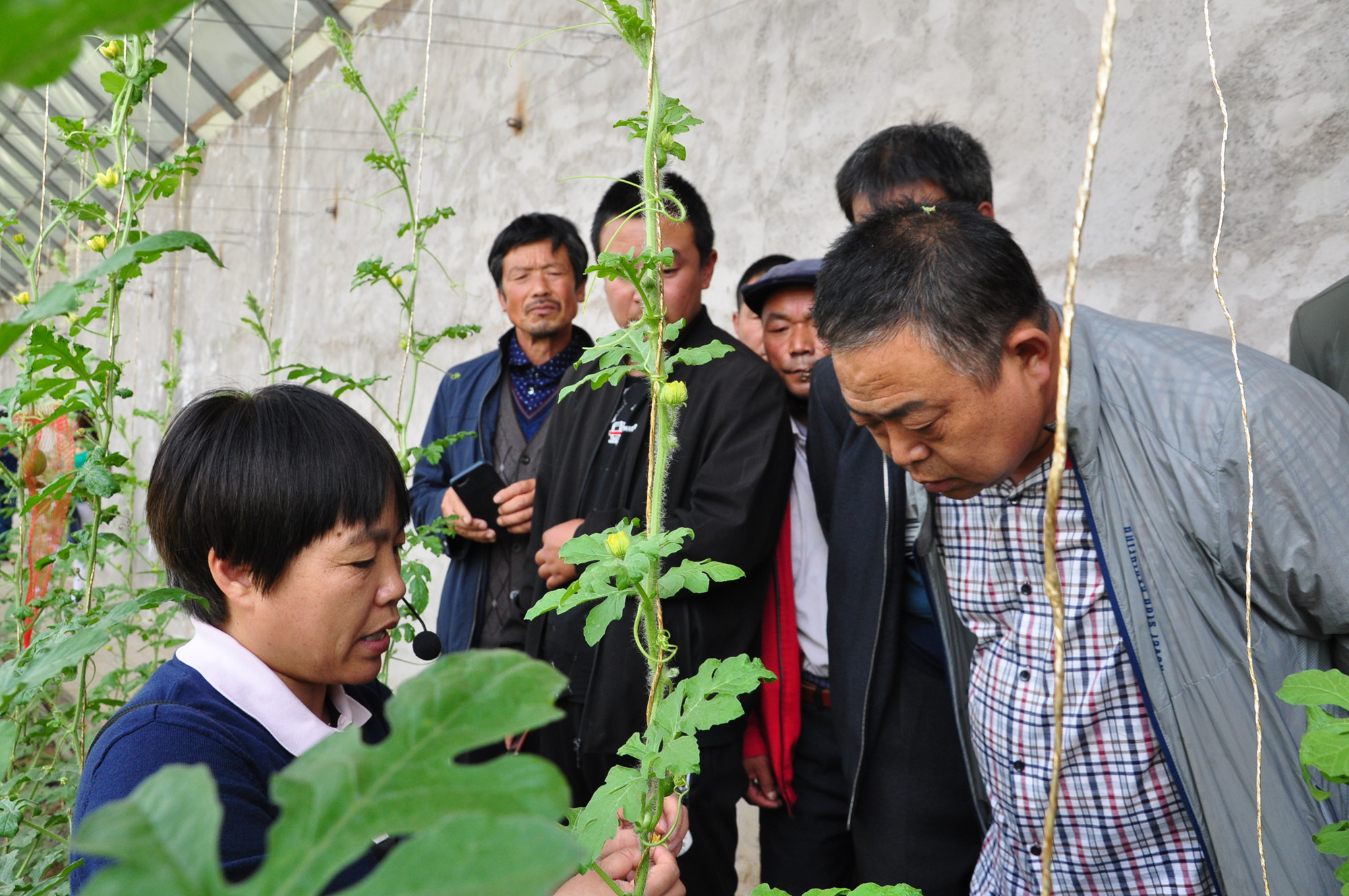 1592472038139005907.jpg 微信图片_20200618160805.jpg