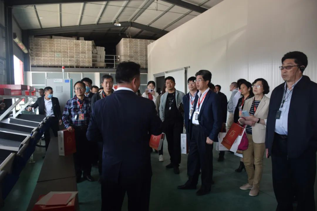 1621387972555044775.png 1621387972555044775.png