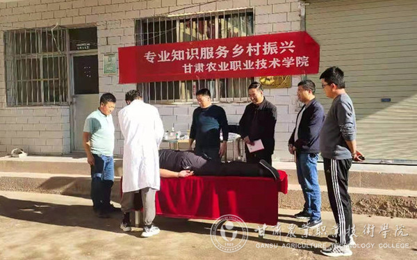 图片11.jpg