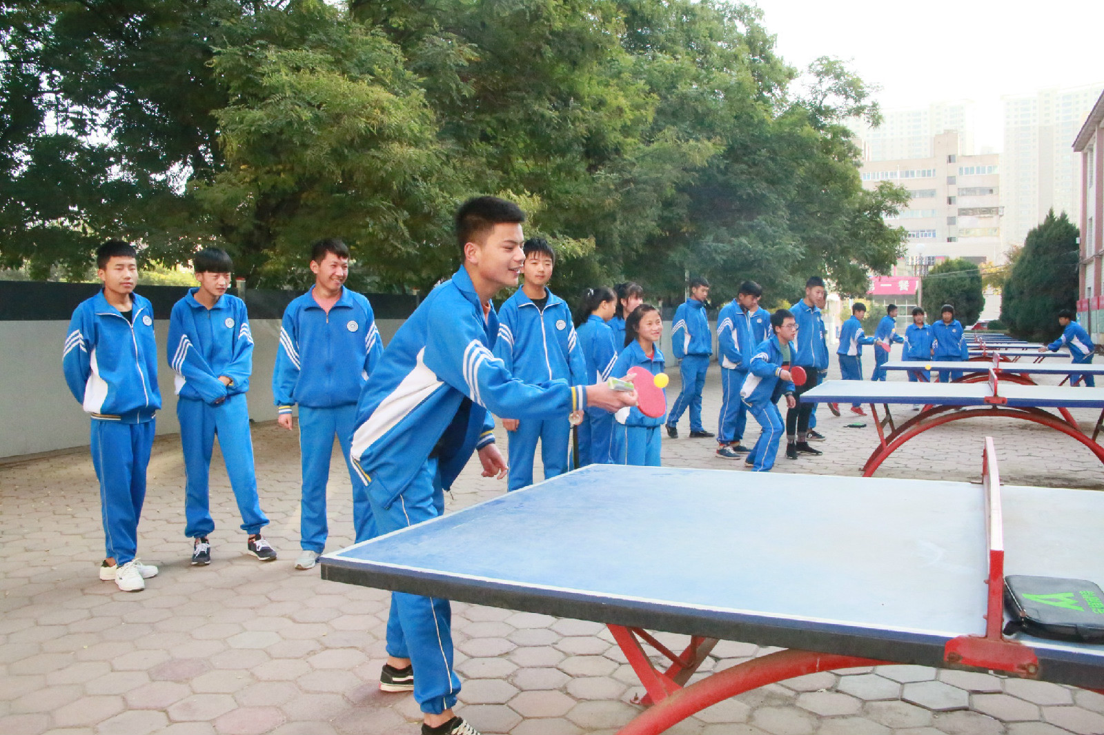 1540956277972065123.jpg 1540956277972065123.jpg