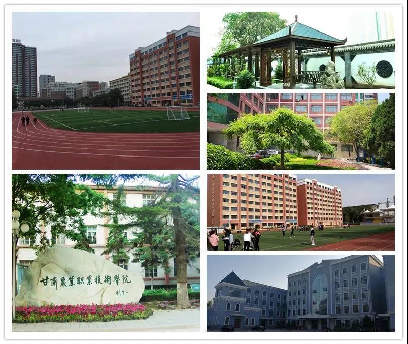 1588126121916062856.jpg 微信图片_20200429095005.jpg