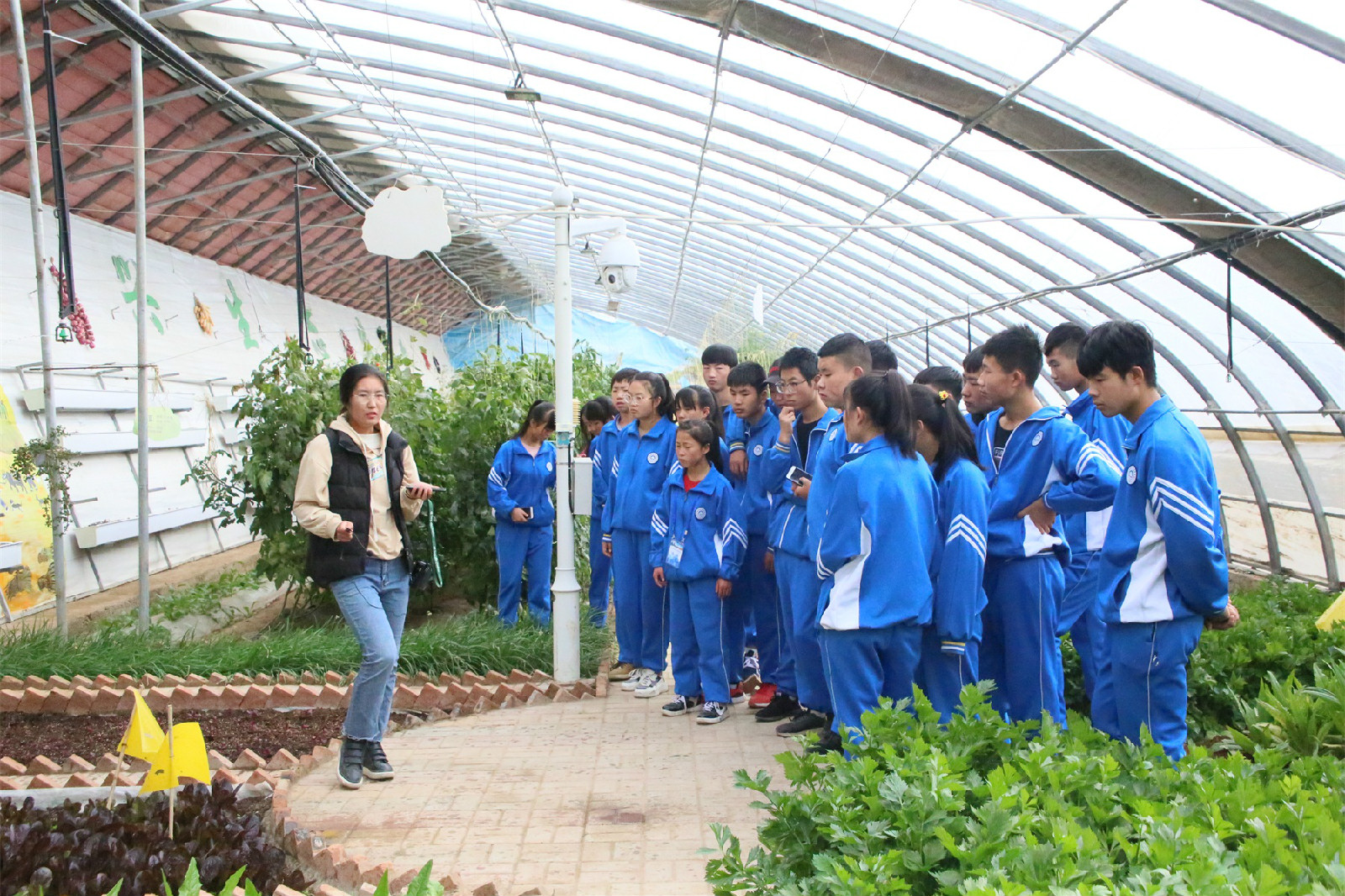 1540956051992019917.jpg 1540956051992019917.jpg