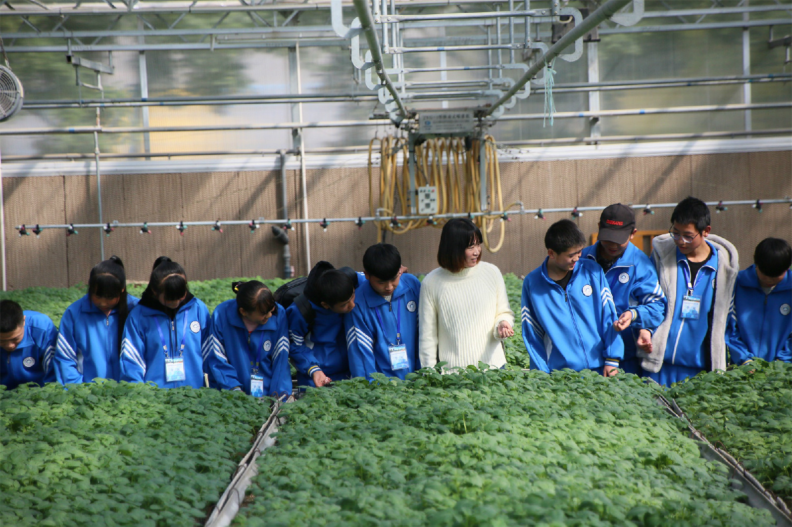 1540956049065074899.jpg 1540956049065074899.jpg