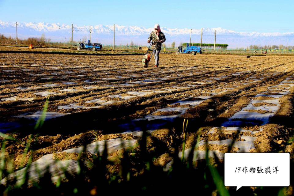 1588055994446007582.png 1588055994446007582.png