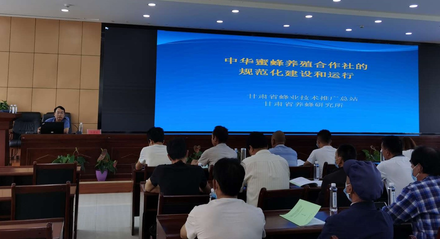 1595837533347062520.jpg 寰俊鍥剧墖_20200726112700.jpg