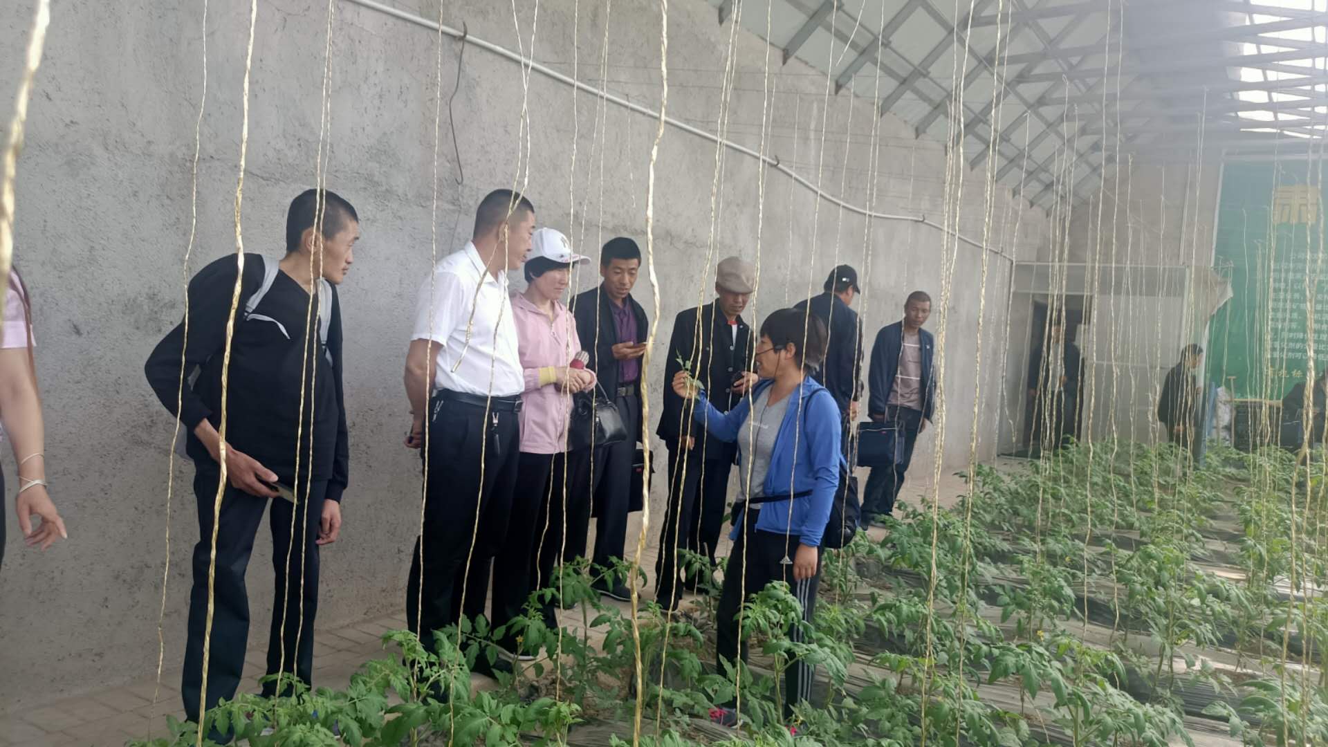 1593329950150082124.jpg 微信图片_20200628152546.jpg