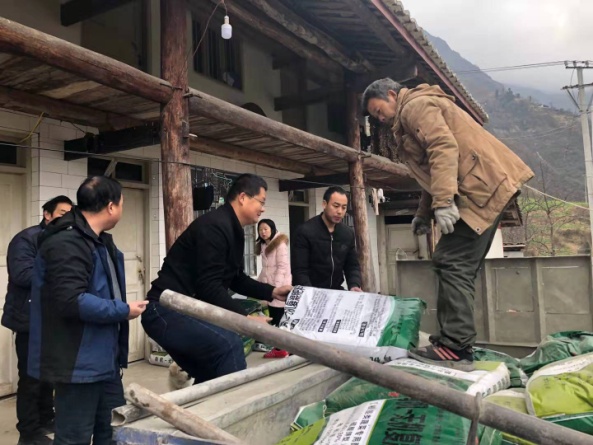 1578294384300011540.jpg 1578294384300011540.jpg